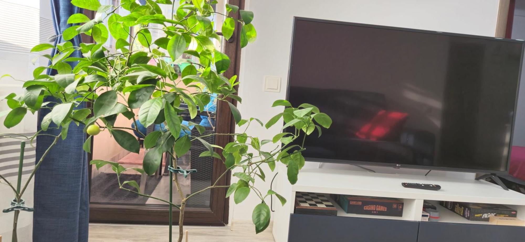 Littlebig Apartment Bucarest Extérieur photo